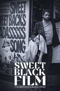 poster Naissance d'un héros noir au cinéma : Sweet Sweetback