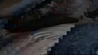 Backdrop 1