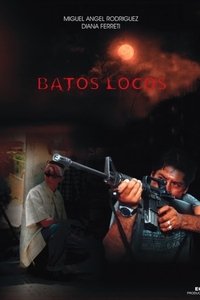 Poster 1