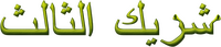 Logo 13