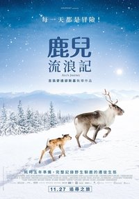 Poster 21