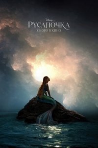 Poster 204