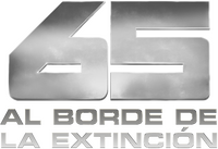 Logo 20