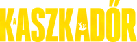 Logo 41