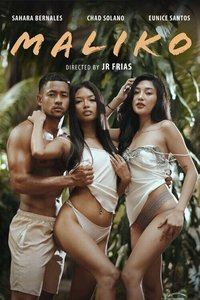 Poster 1