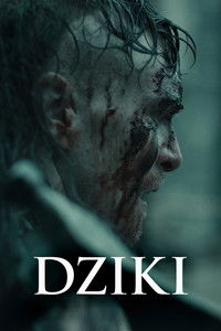 Dziki