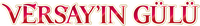 Logo 7