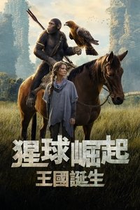 Poster 312