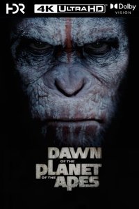 Poster 171