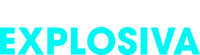 Logo 9