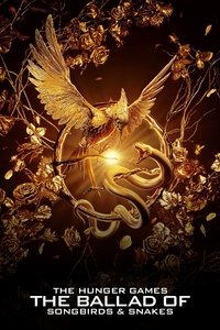 Poster 132