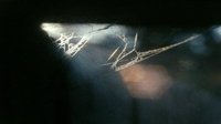 Backdrop 1