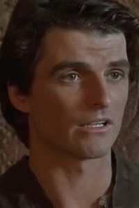 Profile of Robert Harte