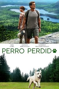 Poster 17