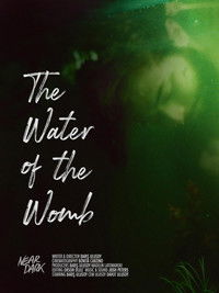 Poster for The Water Of The Womb