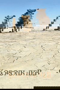 Poster 240