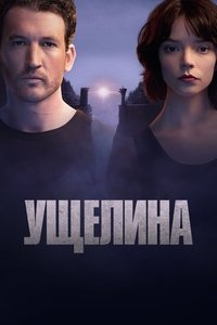 Poster 15