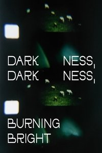 Poster for Darkness, Darkness, Burning Bright