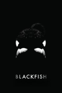Poster 9