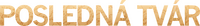 Logo 4
