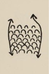 Projet Pour Un Poisson