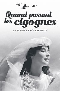 Poster 20