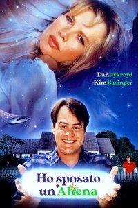 Poster 27
