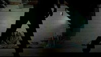 Backdrop 1