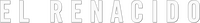 Logo 13