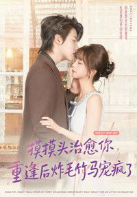 Poster for 摸摸头，治愈你，重逢后炸毛竹马宠疯了