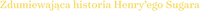 Logo 17