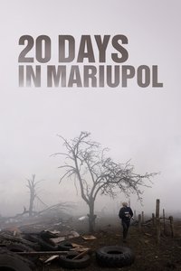 Poster 17