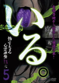 Poster for 「Iru.」~ Kowasugiru Tōkō Eizō 13-hon ~ Vol.5