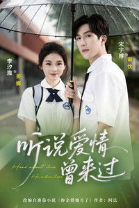 Poster for 听说爱情曾来过