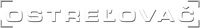 Logo 21