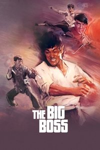 Poster 80