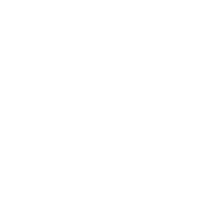 Logo 30
