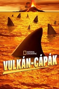 Poster 5