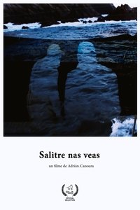 Poster for Salitre nas veas