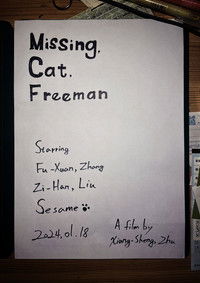 Poster for Missing, Cat, Freeman
