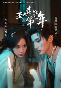 Poster for 夫人走的第三年