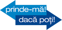 Logo 15