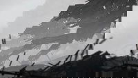 Backdrop 6
