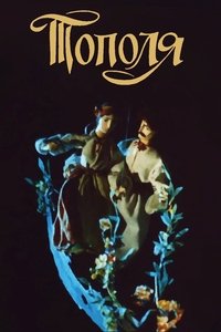 Poster 5