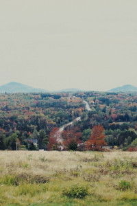 Poster for Little Boy Loon