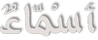 Logo 4