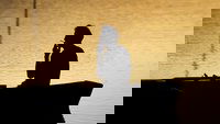 Backdrop 0