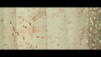 Backdrop 21