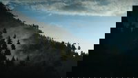 Backdrop 0
