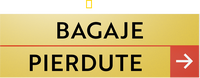 Logo 12
